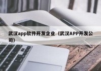 武汉app软件开发企业（武汉APP开发公司）